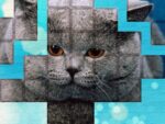 PicPu – quebra-cabeça de gato
