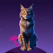 Gato Um petróleo